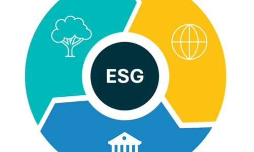 Environment and social governance